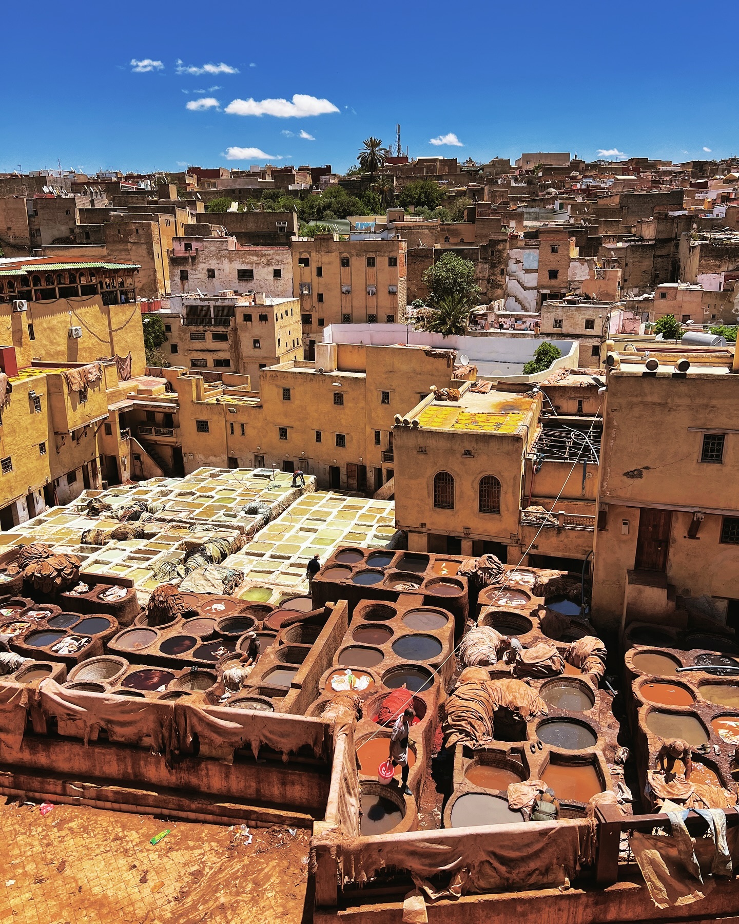 Dar Dbagha
