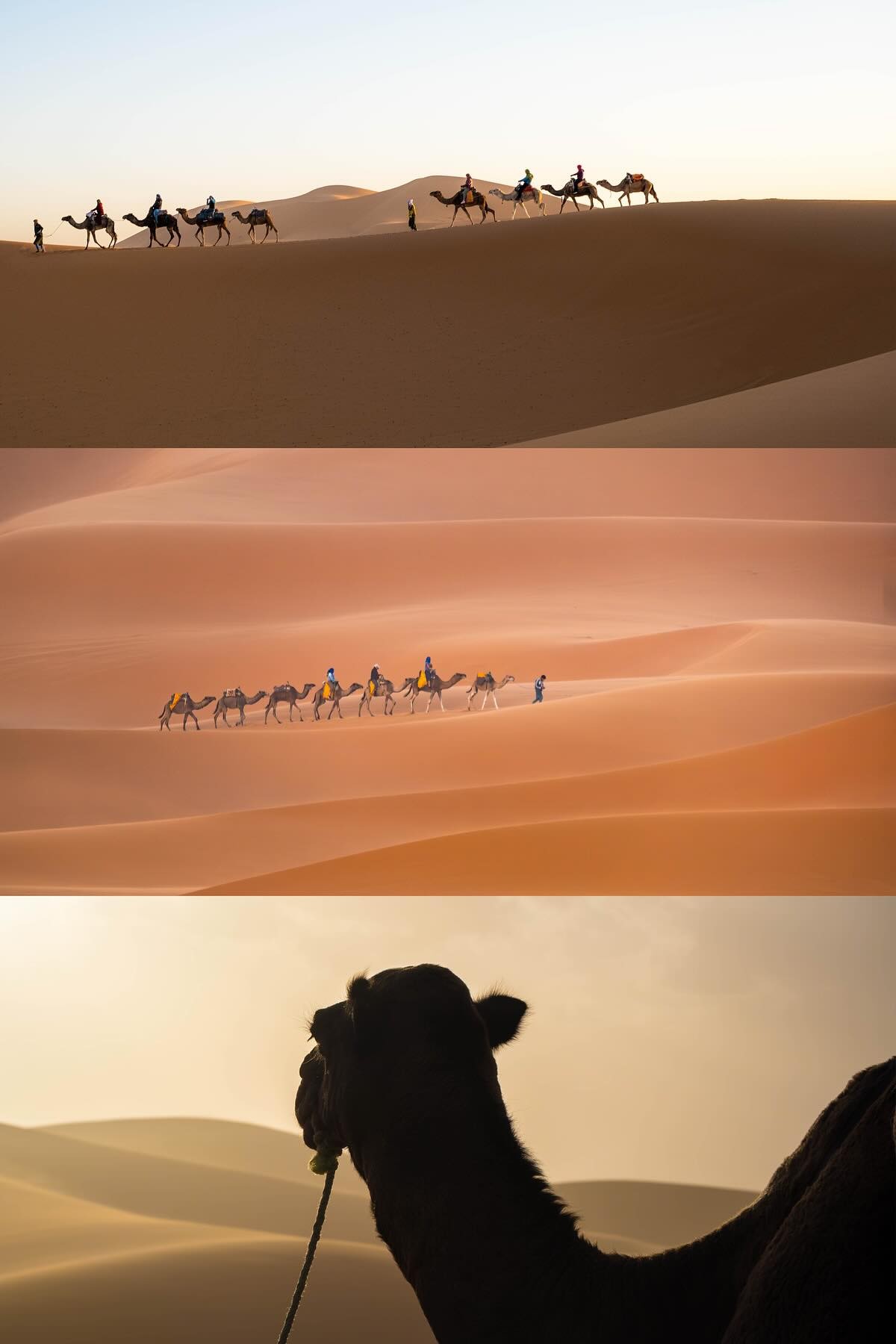 Sahara desert