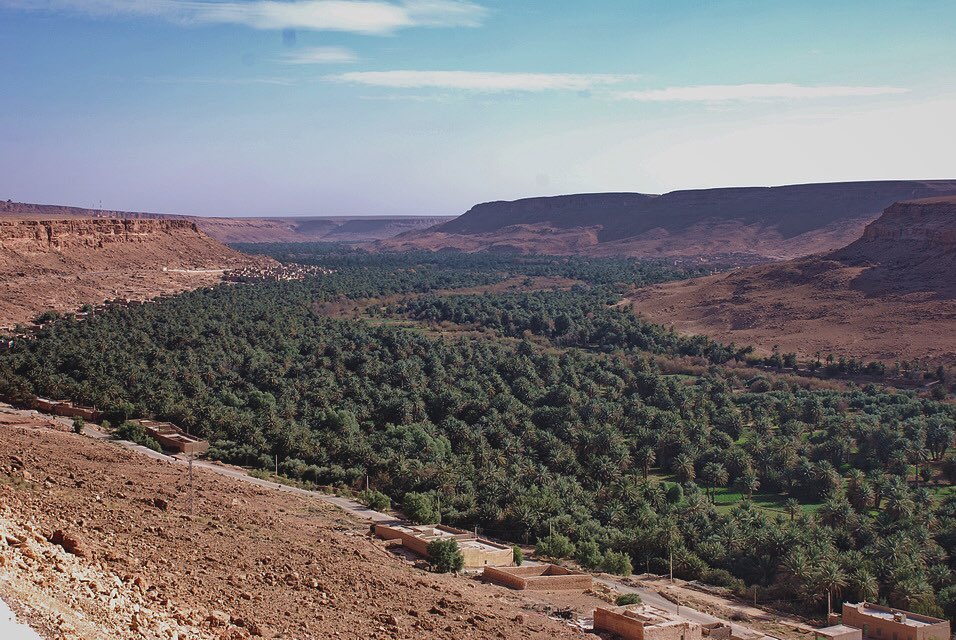 Ziz Valley